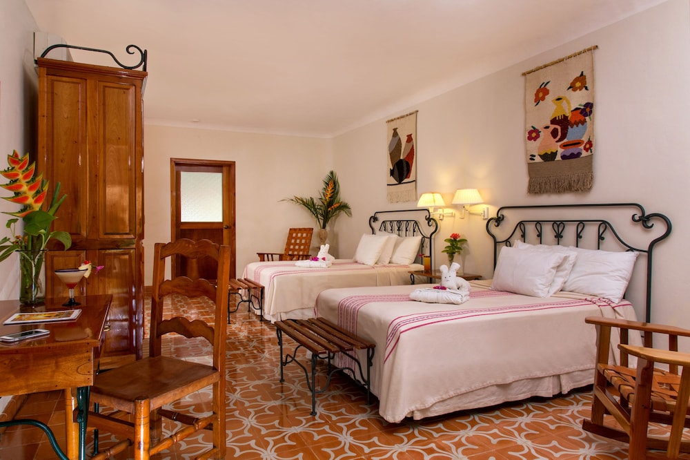 Superior Room with Field View photo 1
