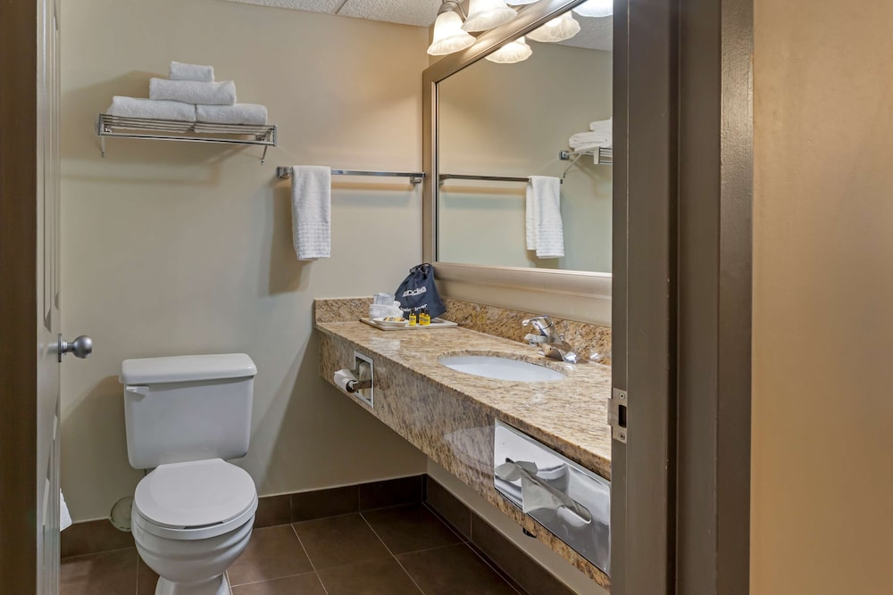 Standard Room, 1 King Bed, Non Smoking, Refrigerator & Microwave (with Sofabed) - Photo 4