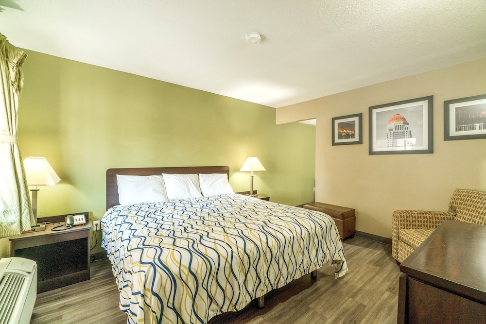 Room, 1 King Bed, Smoking photo 1