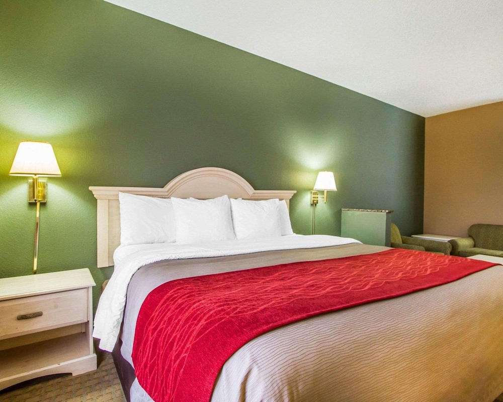 Standard Room, 1 King Bed with Sofa bed, Non Smoking photo 2