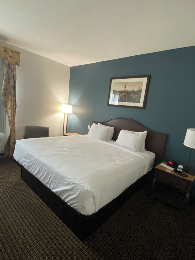 Room, 1 Queen Bed, Non Smoking - Photo 1