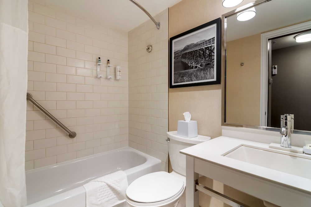 Standard Room, 1 King Bed, Non Smoking, Jetted Tub - Photo 4