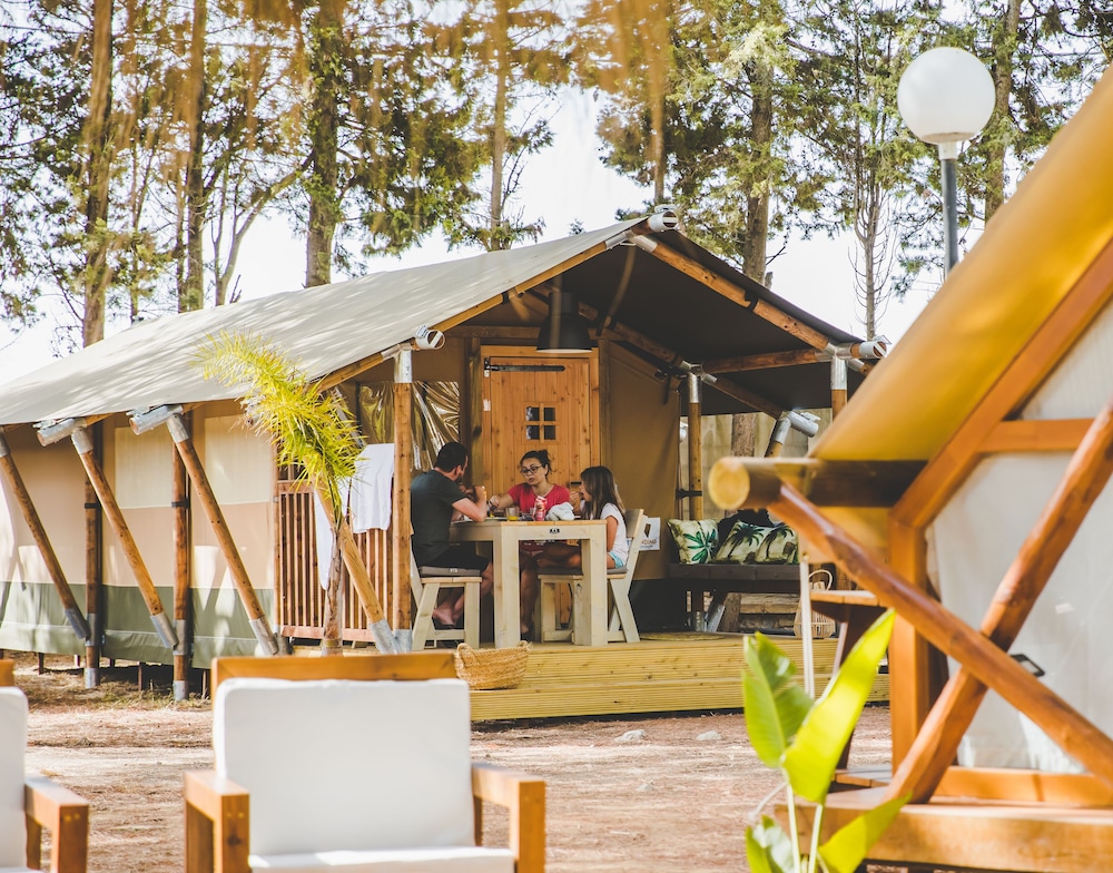 Premium Tent