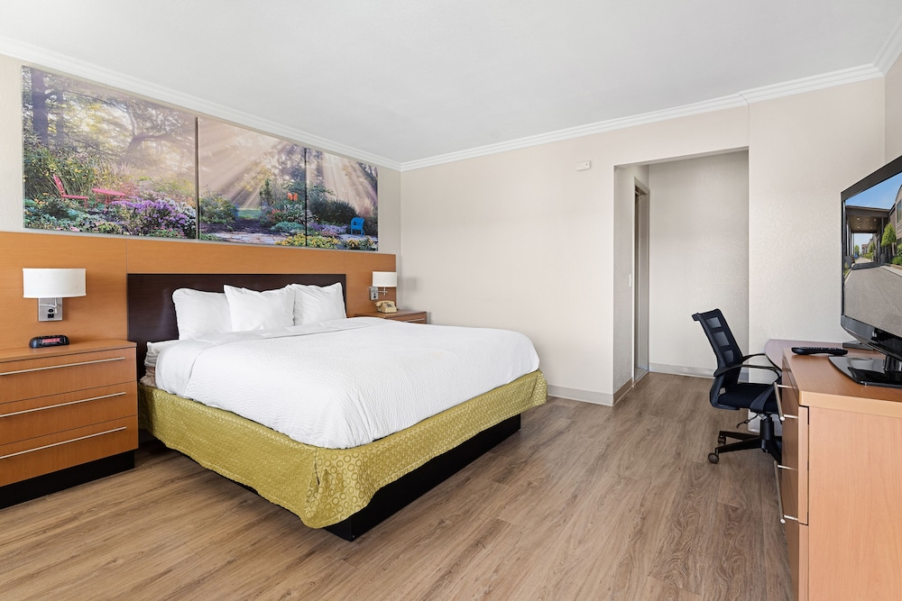 Room, 1 King Bed, Non Smoking, Pool View