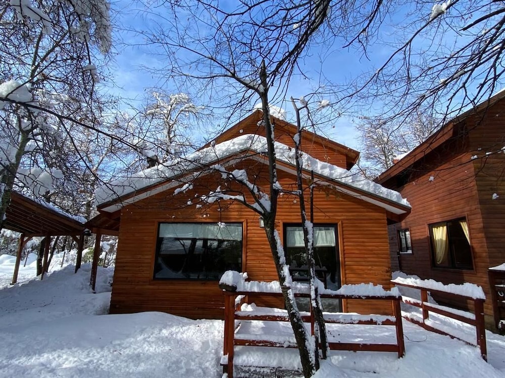 Classic Cabin photo 1