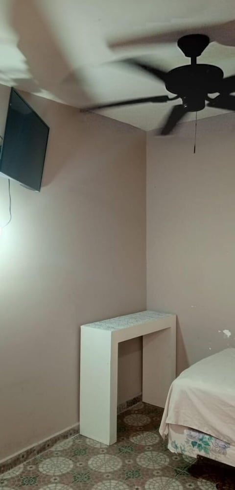 Basic Loft photo 2
