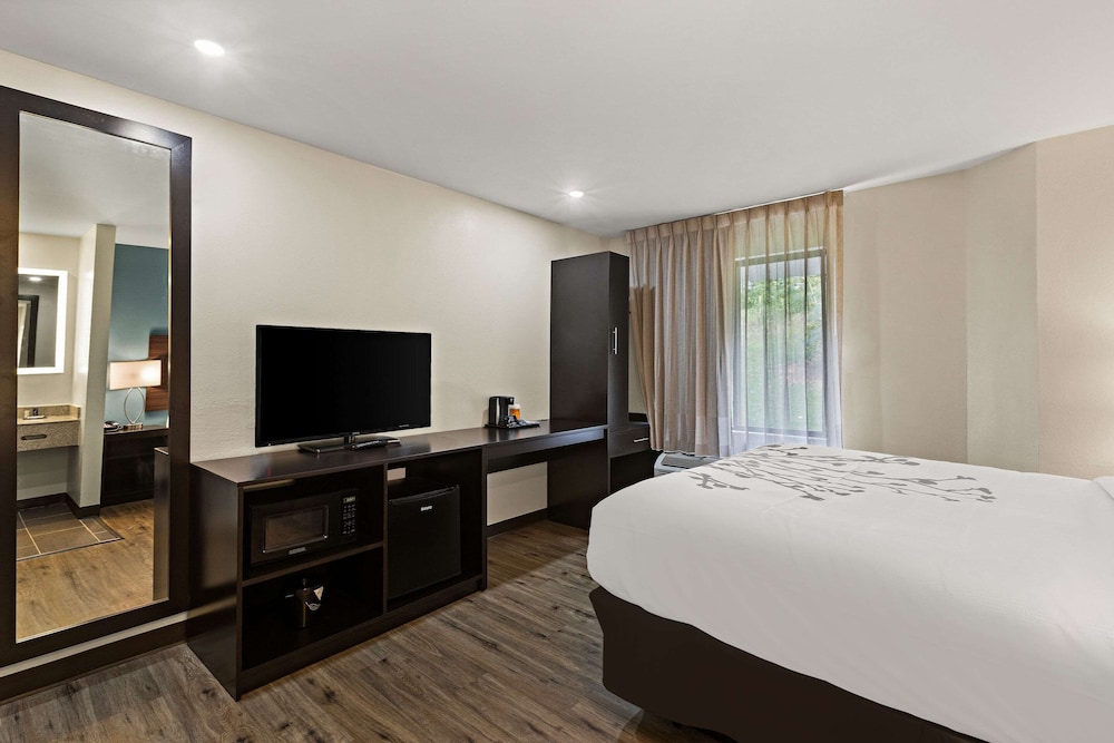 Room, 1 Queen Bed, Accessible, Non Smoking - Photo 4