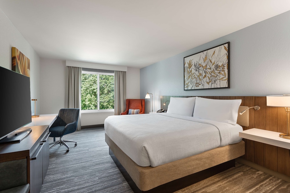 Deluxe Room, 1 King Bed photo 2
