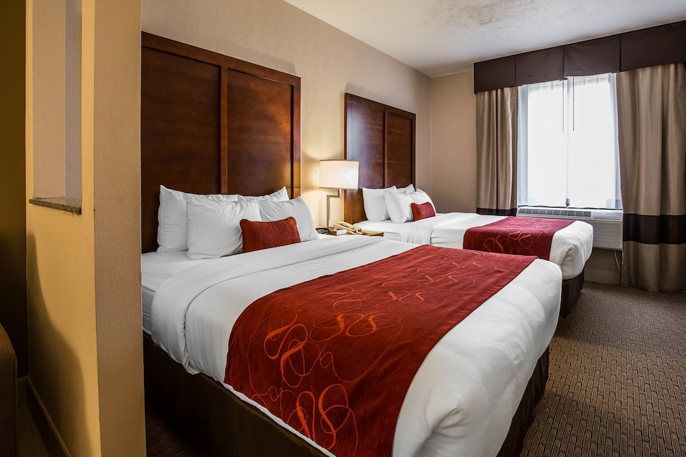 Suite (2 Queen beds and 1 Sofabed) photo 1