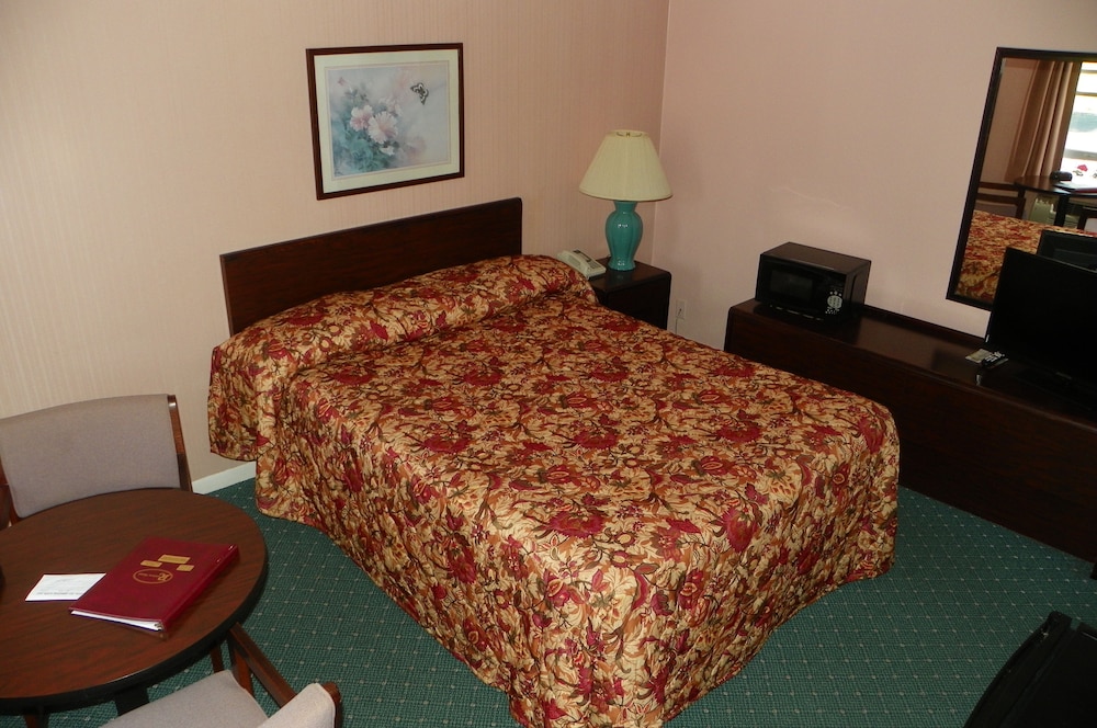 Room, 1 Queen Bed