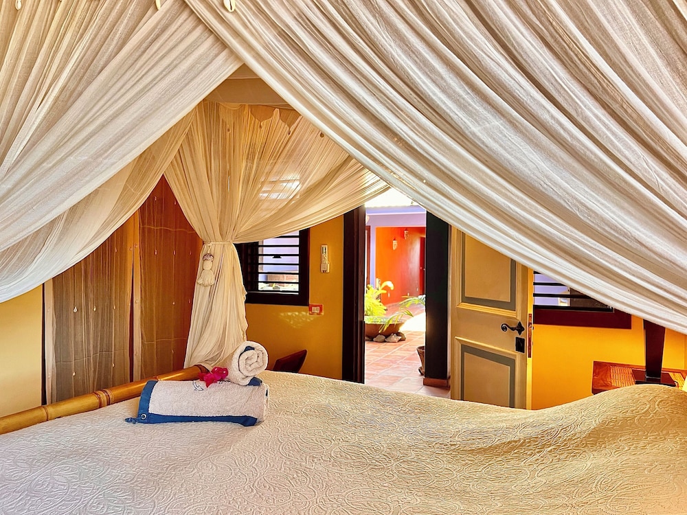 Room, 1 Queen Bed photo 3