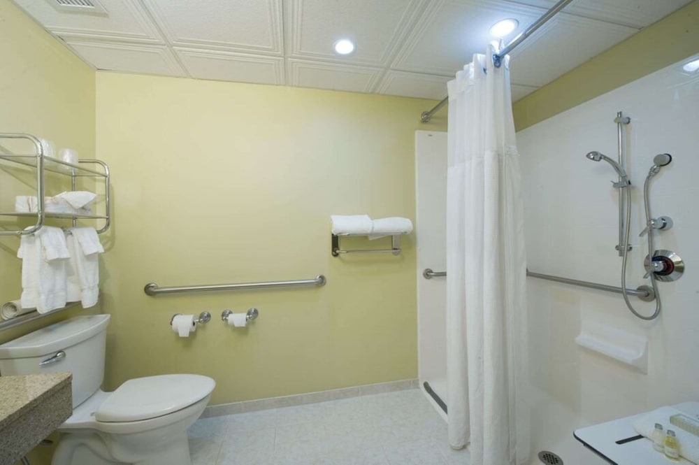 Standard Room, 1 King Bed, Accessible, Non Smoking (Pet Friendly) - Photo 5