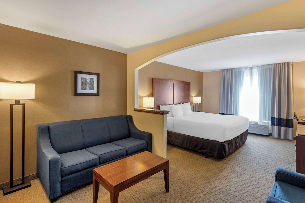 Suite, 1 King Bed, Non Smoking - Photo 2