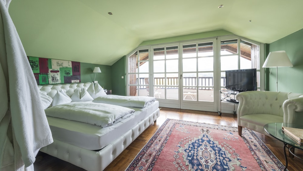 Panoramic Studio Suite, Lake View photo 3