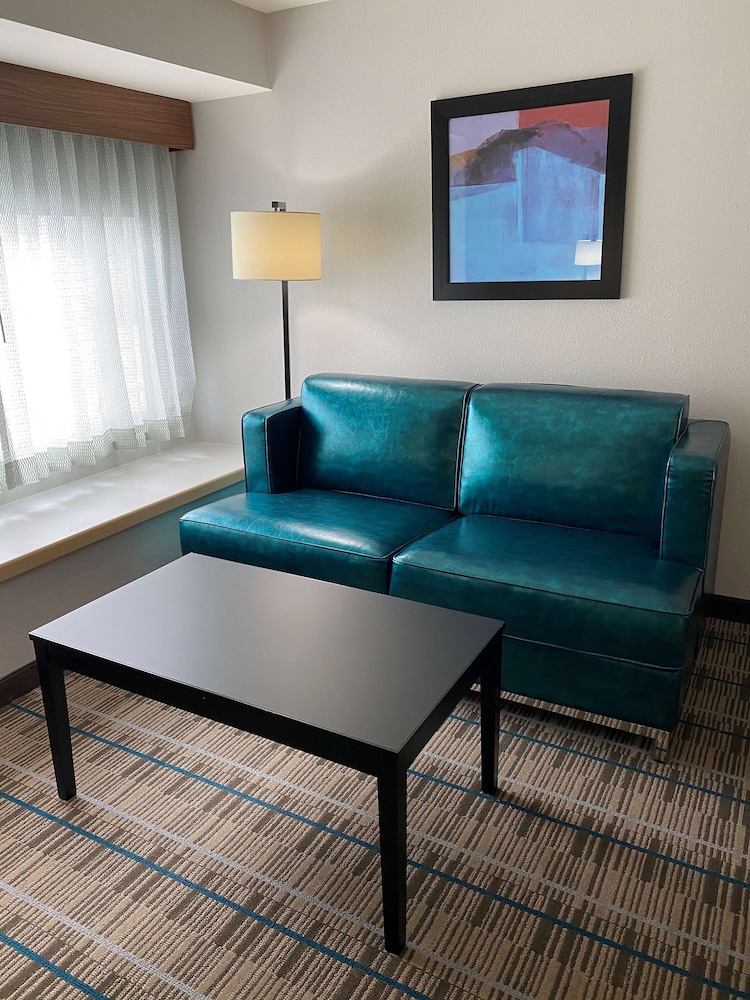 Standard Room, 1 King Bed, Accessible, Refrigerator & Microwave (with Sofabed) - Photo 2
