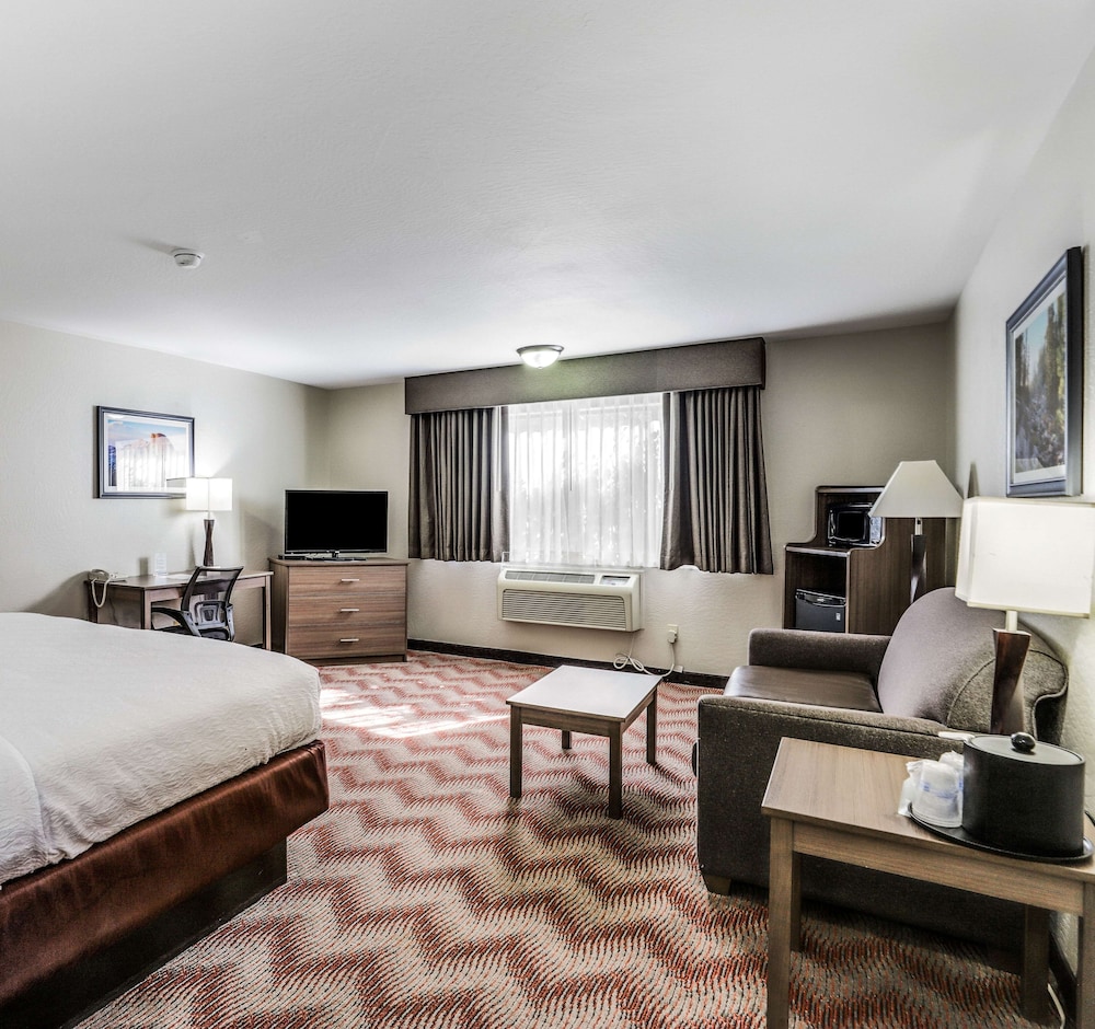 Standard Room, 1 King Bed, Non Smoking, Microwave (Oversized Room) - Photo 1
