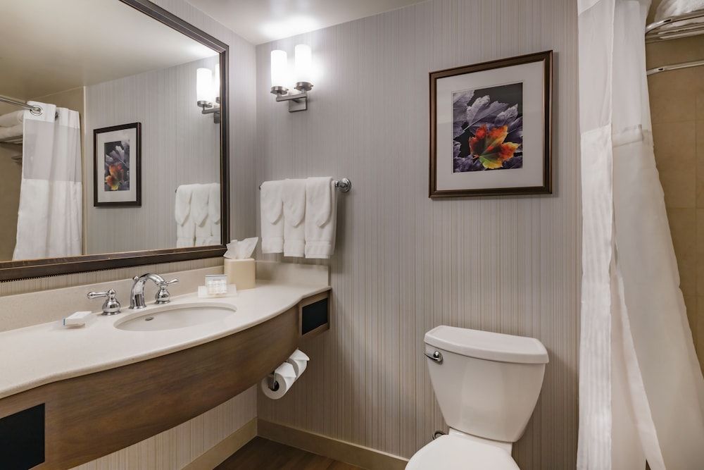Suite, 1 King Bed, Accessible (Roll-In Shower) - Photo 2
