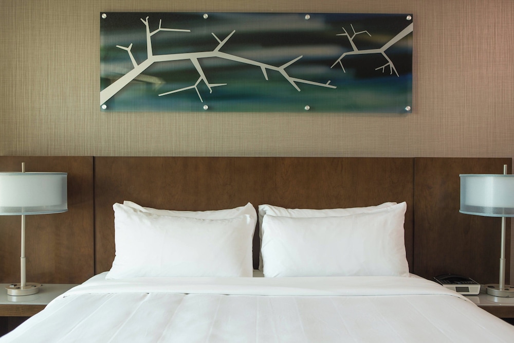 Room, 1 King Bed (Mobility/Hearing Access, Roll-In Shwr) - Photo 1