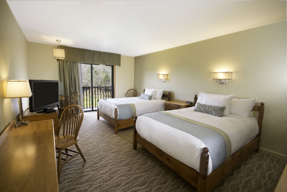 Standard Room, 2 Double Beds photo 1
