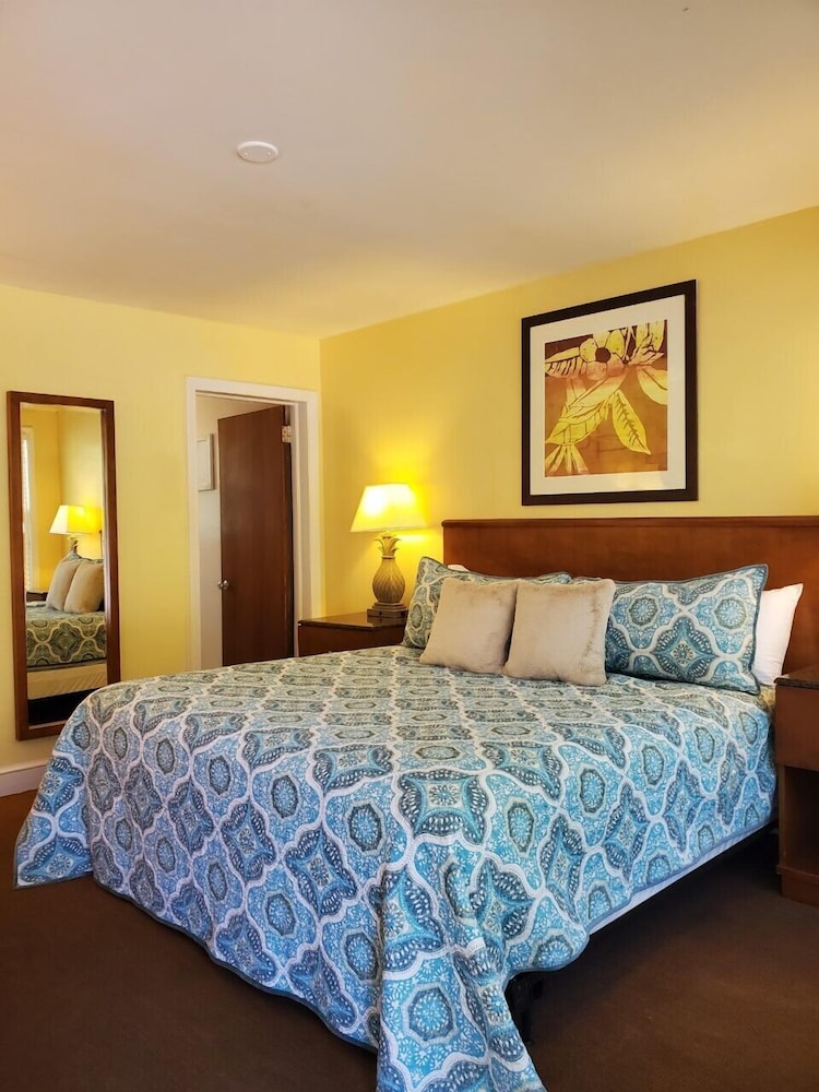 Standard Single Room photo 2