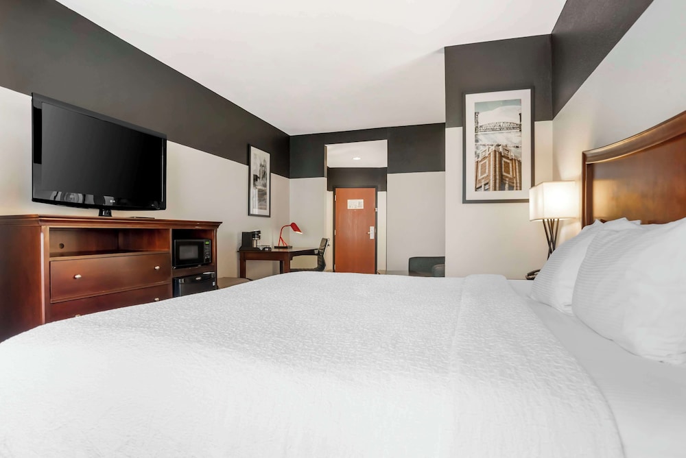 Suite, 1 King Bed, Non Smoking, Refrigerator & Microwave (with Single Sofabed) - Photo 3