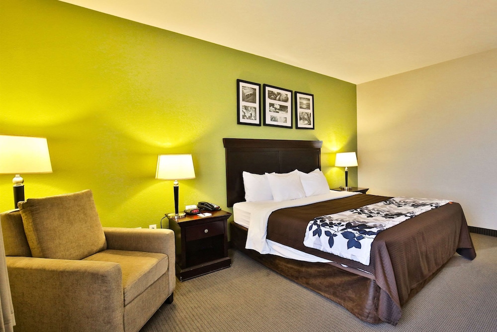 Room, 1 King Bed, Accessible, Non Smoking photo 2