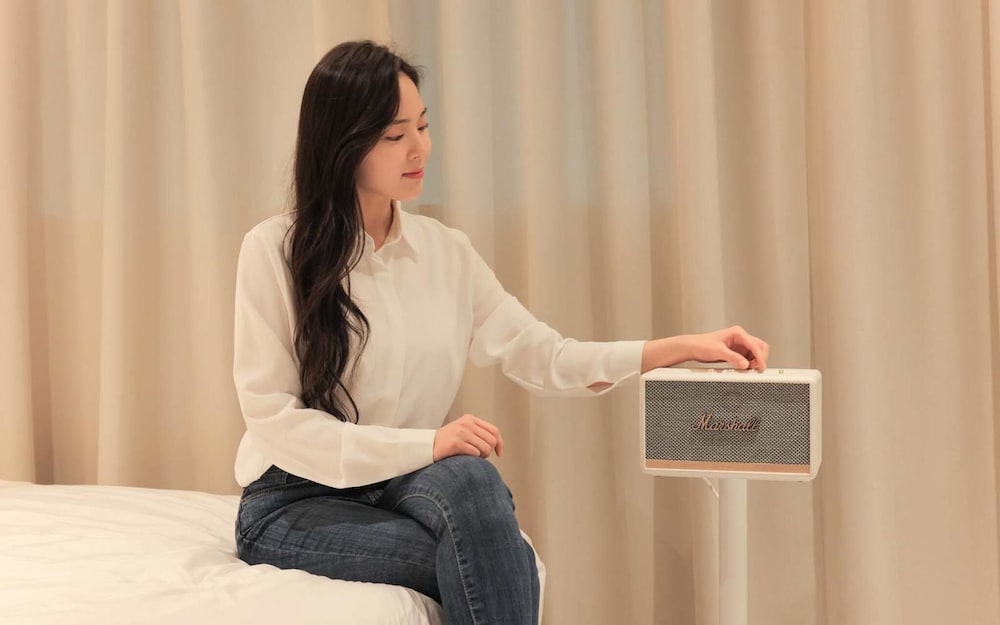 Room (Speaker (Marshall Speaker TV Netflix )