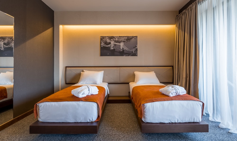 Deluxe Double or Twin Room photo 1