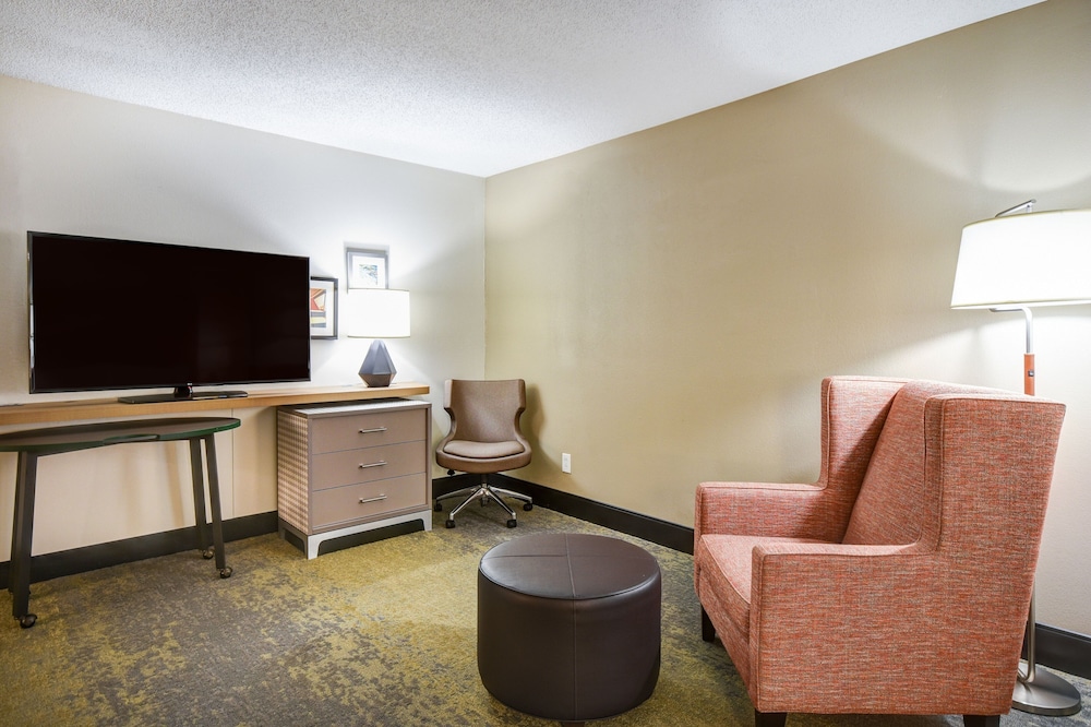 Suite, 1 Bedroom - Photo 4
