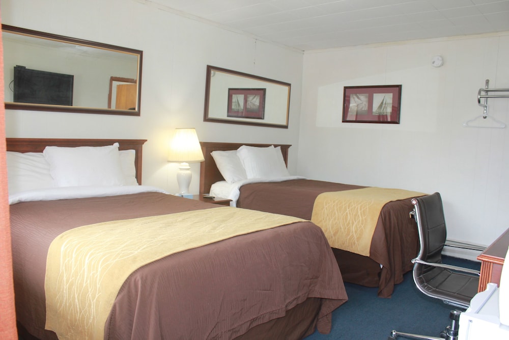 Standard Room, 2 Double Beds, Non Smoking photo 2