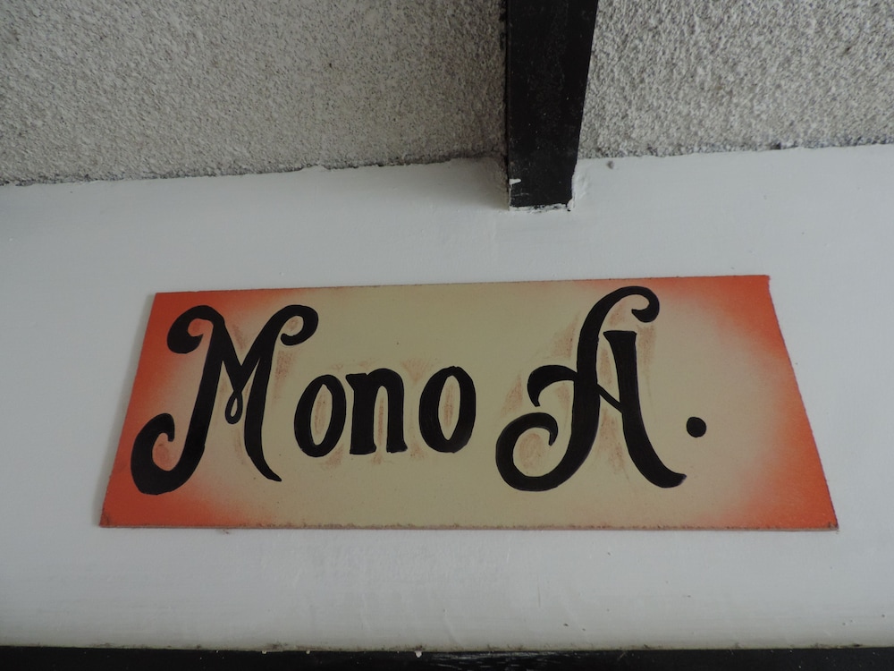 Mono Aullador photo 2