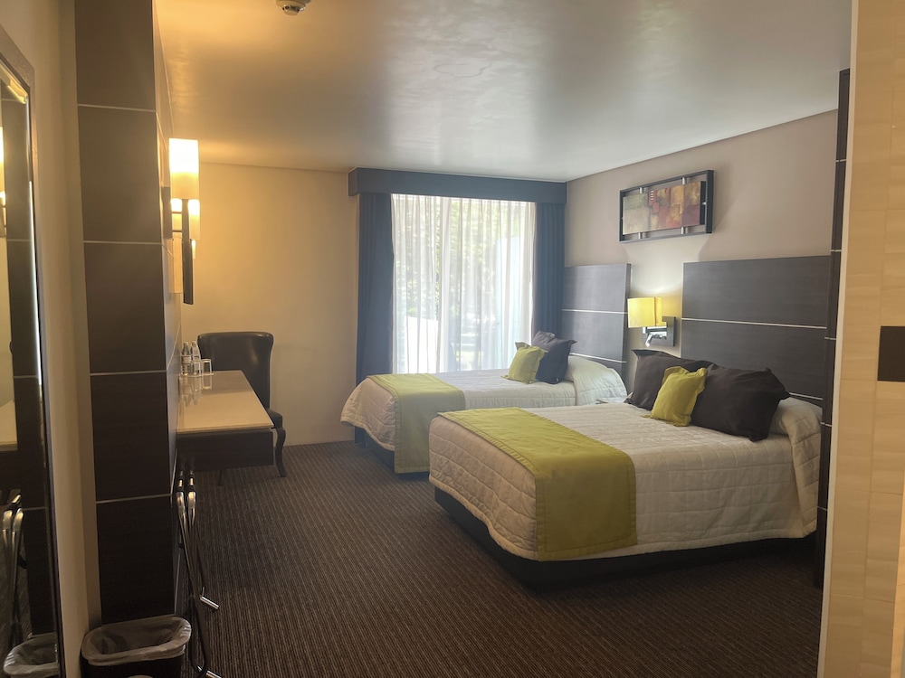Twin Room - Disability Access photo 3