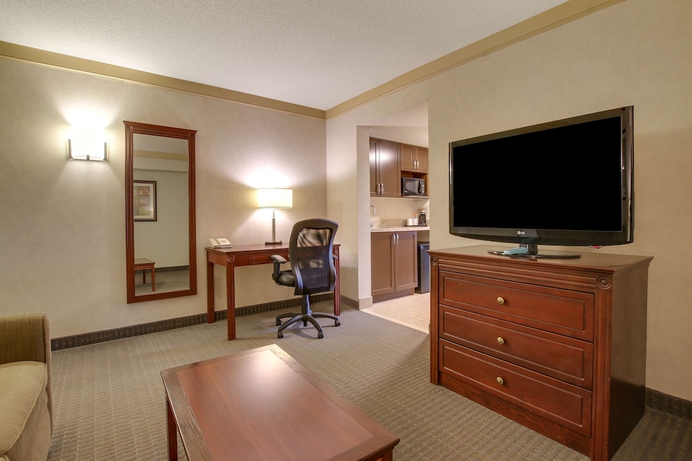 Suite, 1 King Bed, Non Smoking, Refrigerator & Microwave (with Sofabed) - Photo 7