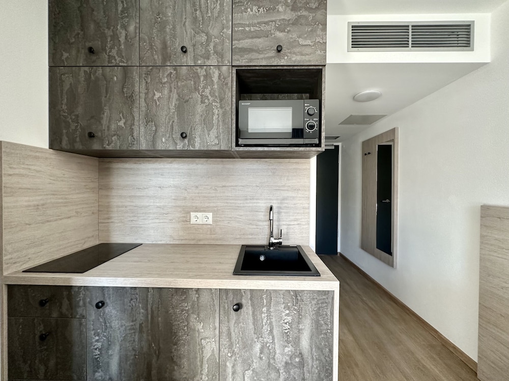 Studio Apartment with Kitchen - Photo 4