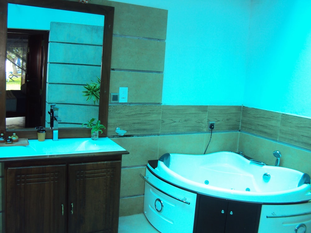 Premium Villa photo 3