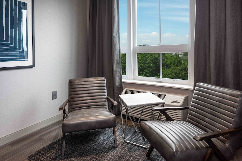 Suite, 1 King Bed - Photo 1
