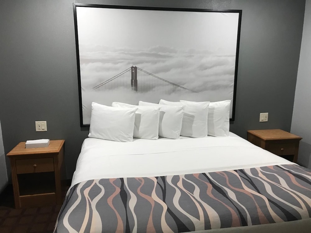 Basic Room, 1 King Bed photo 1