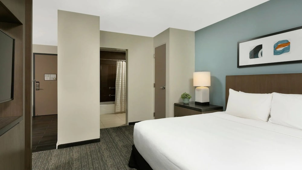 Studio Suite, 1 King Bed, Accessible, Bathtub photo 3