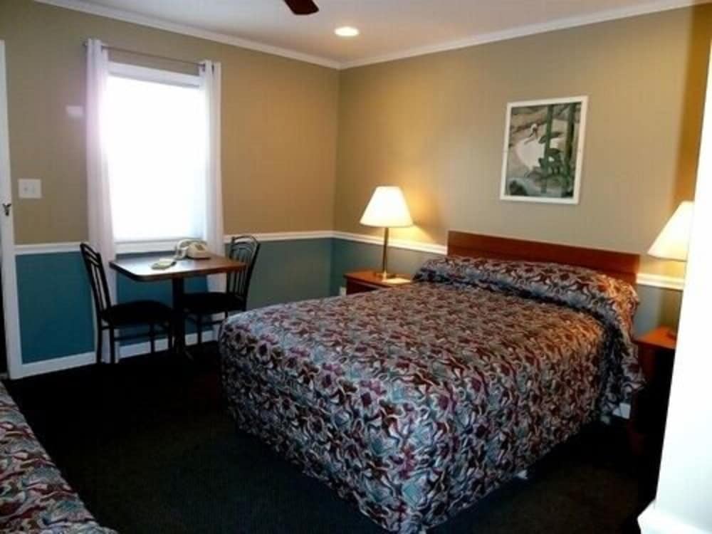 Room, 1 Double Bed and 1 Single Bed photo 1