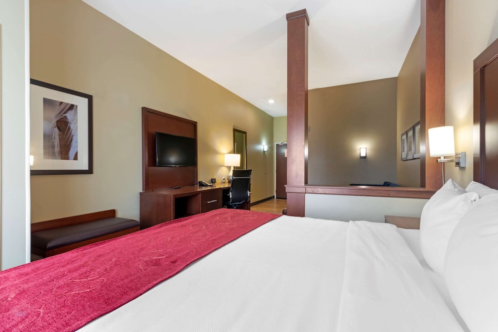 Suite, 1 King Bed with Sofa bed, Non Smoking (2 Person Sofa Bed, Shower Only) photo 3