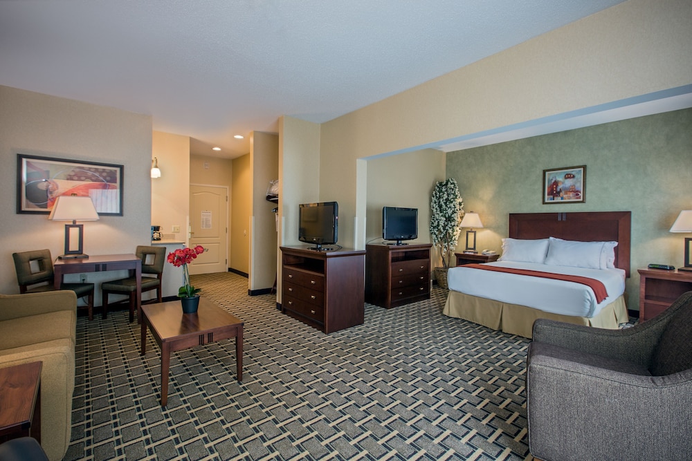 Suite, 1 Queen Bed photo 1