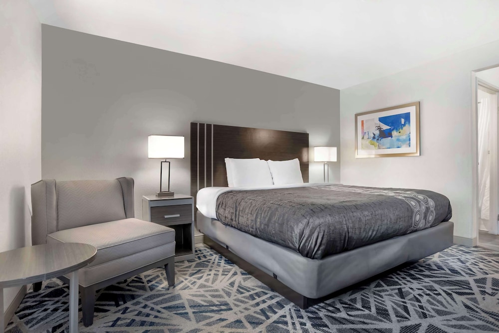 Standard Room, 1 Queen Bed, Accessible, Refrigerator & Microwave - Photo 3