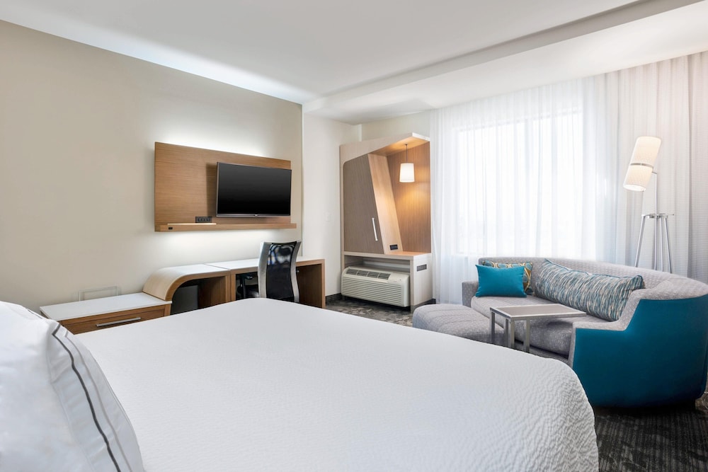 Room, 1 King Bed with Sofa bed
