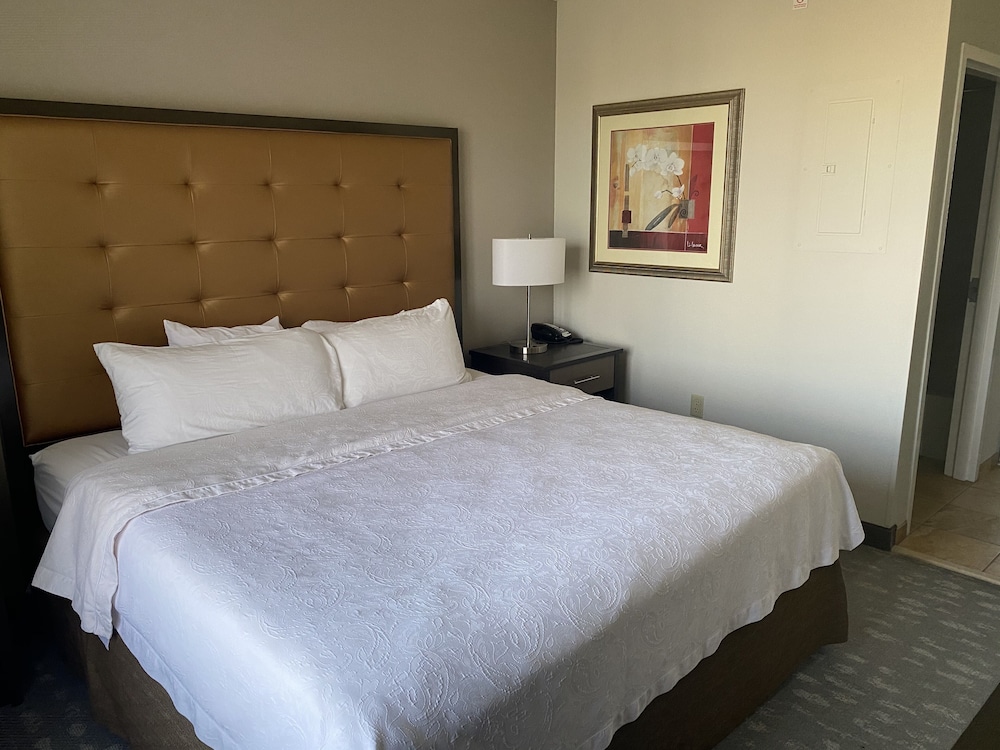 Studio Suite, 1 King Bed - Photo 1