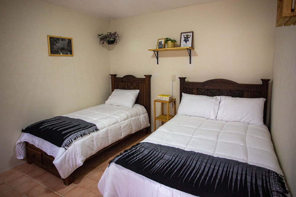 Comfort Double or Twin Room photo 3