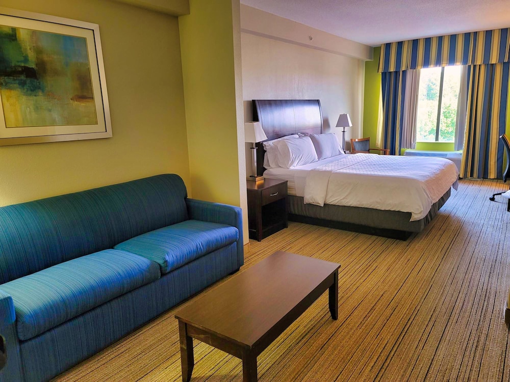 Suite, 1 King Bed with Sofa bed, Jetted Tub - Photo 1
