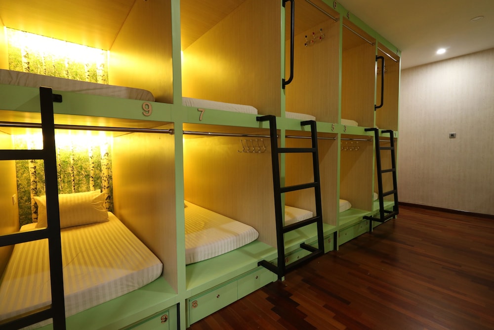 Shared Dormitory, Women Only photo 1