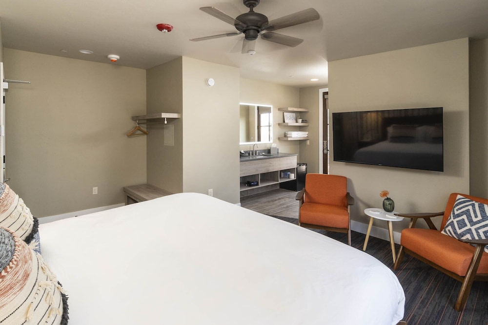 Room 101 photo 3