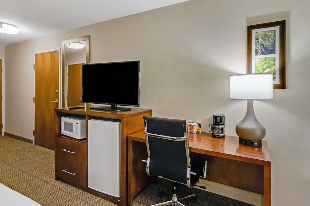 Standard Room, 1 King Bed, Accessible, Non Smoking - Photo 2