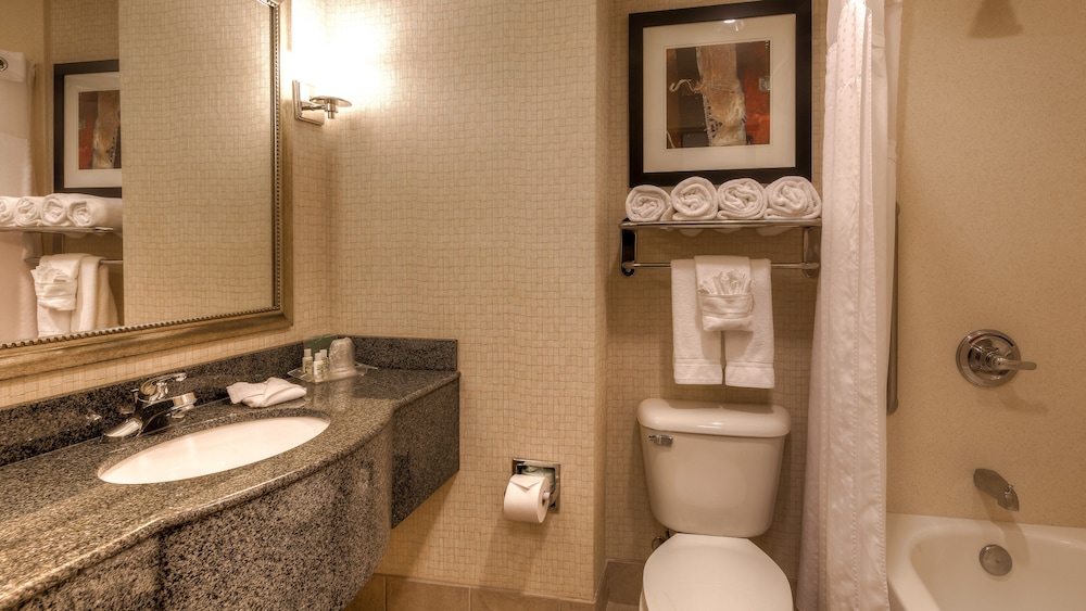 Suite, 1 Bedroom - Photo 10